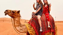 Evening Desert Safari Tour with Live Shows