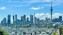 [PRIVATE] Auckland Half Day City Tour