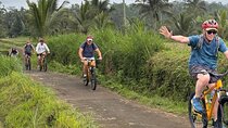 Ubud : Kintamani Downhill Cycling Tour with Lunch
