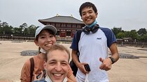 Authentic Private tour from Osaka to Nara with a Native Expert