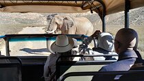 Cape town Aquila real Safari And Wine Tasting Full Day Inclusive