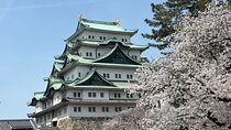 Nagoya Castle Walking Tour