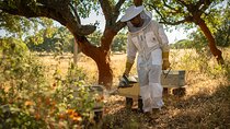 Beekeeping, nature and tradition
