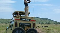 7 Day Tanzania Safari Adventure Serengeti and Ngorongoro