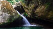 Caves and Waterfalls of Tijuca Forest - by Alan Denis