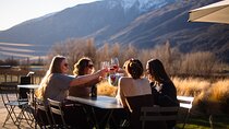 Private Guided Wine Tour Ex Queenstown