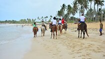 ! Family Horseback Riding Tour in Punta Cana Beaches