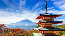 Mount Fuji Full Day Sightseeing Tour from Tokyo