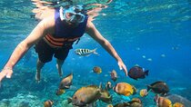 From Bali West Nusa Penida Tour and Private Snorkeling