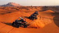 Evening Desert Safari with 30mins. Buggy Ride 