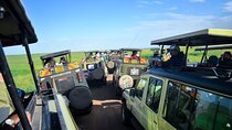 3 Days Masai Mara private mid luxury safari