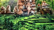 Full Day ATV Ride, Monkey Forest,Tegalalang Rice Terrace 