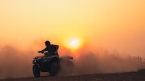 Dubai Quad Bike Safari with Camel Ride and Scenic Dune Photo Stop