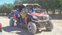 Sharm El Sheikh: ATV, Camel Ride with BBQ Dinner and Show