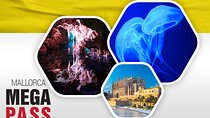 Mallorca MegaCombo Cathedral, Hams' Caves & Palma Aquarium 