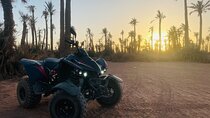 Quad 1h30 in the Palmeraie with Meal and Camel Options