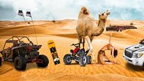 Experience Doha Safari Sunrise Serenity and Desert Thrills