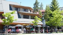 Scavenger Adventure and Lake Tahoe Bar Crawl