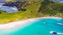 Scenic Bay of Islands Escape: Private Full-Day Tour from Auckland