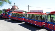 Bologna City Red Bus & San Luca Express combo with food vouchers
