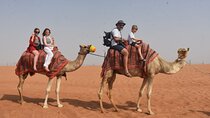 Dubai Desert Safari and Quad Bike Ride with Buffet Dinner 