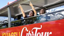 Sightseeing Bus Tour of Foz do Iguaçu