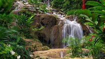Ocho Rios Mi Crazy: Konoko Falls, Garden and Park with Beach Tour