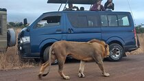 Nairobi National Park Half-Day Game Drive Guided Tour