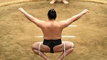 Tokyo Shinjuku Sumo Show and Experience with Drinks and Photo