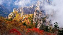 Seoraksan & Naksan Temple Autumn Day Trip from Seoul