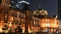 Tokyo Night View Guided Tour with Private Car and Driver