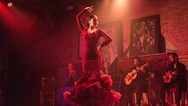 Flamenco night Show and Dinner in Madrid 