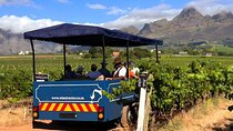Stellenbosch Wine Safari from Cape Town with Live Guide