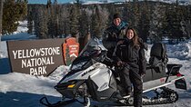 Yellowstone Grand Canyon Full Day Snowmobile Tour
