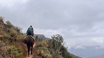 Andes Horseback Ride, Hike & Condor Viewpoint with Chilean Food