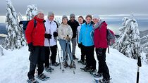 Grouse Mountain Snowshoeing Adventure with Scenic Skyride