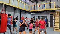 Boxing Puerto Vallarta Experience a day in the ring