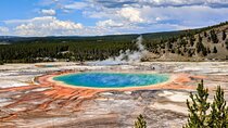 Wonders of Yellowstone Lower Loop Private Tour with Lunch