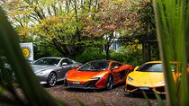 Half-Day Supercar Drive Experience from Auckland
