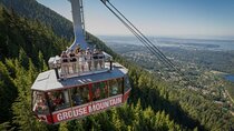 Gondolas, Grizzlies & OMG Views– Vancouver’s Ultimate Day Out!