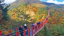 Explore DMZ from Seoul +(optional) Gondola/Red Suspension Bridge