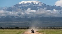 3 Day Amboseli Private mid luxury Safari