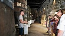 Port Wine Tour | 3 Cellars | 7 Tastings | 12 Participants Maximum