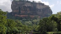 Sigiriya and Dambulla Private Day Trip with Safari from Colombo