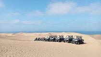 Dune buggy Adventure in Agadir Forest and Beach Dunes