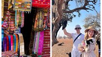 Agadir Half-Day Tour : Goats in Argan Trees & Souk El Had Visit