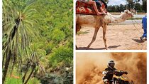 package one day : Quad Biking and Paradise Valley + Camel Ride 