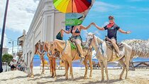Combo Horse and City Tour Puerto Plata