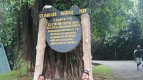 Marangu Route 6 Day Hiking Adventure on Mt. Kilimanjaro