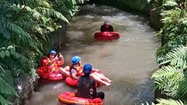 Day Tour at Ubud with Cave Tubing, Culture Tour and Rice Terrace